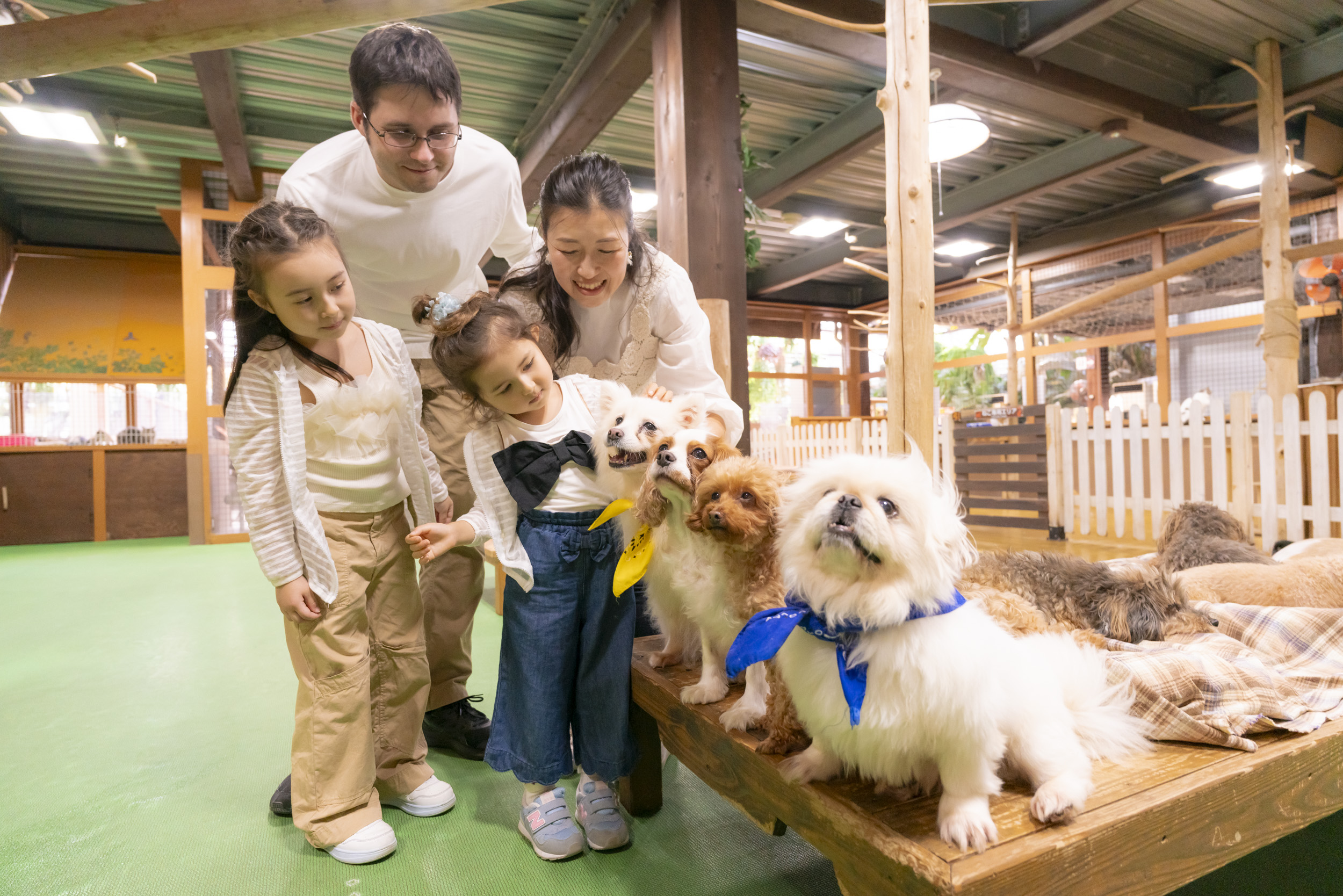 ワンタッチ・ニャンタッチ